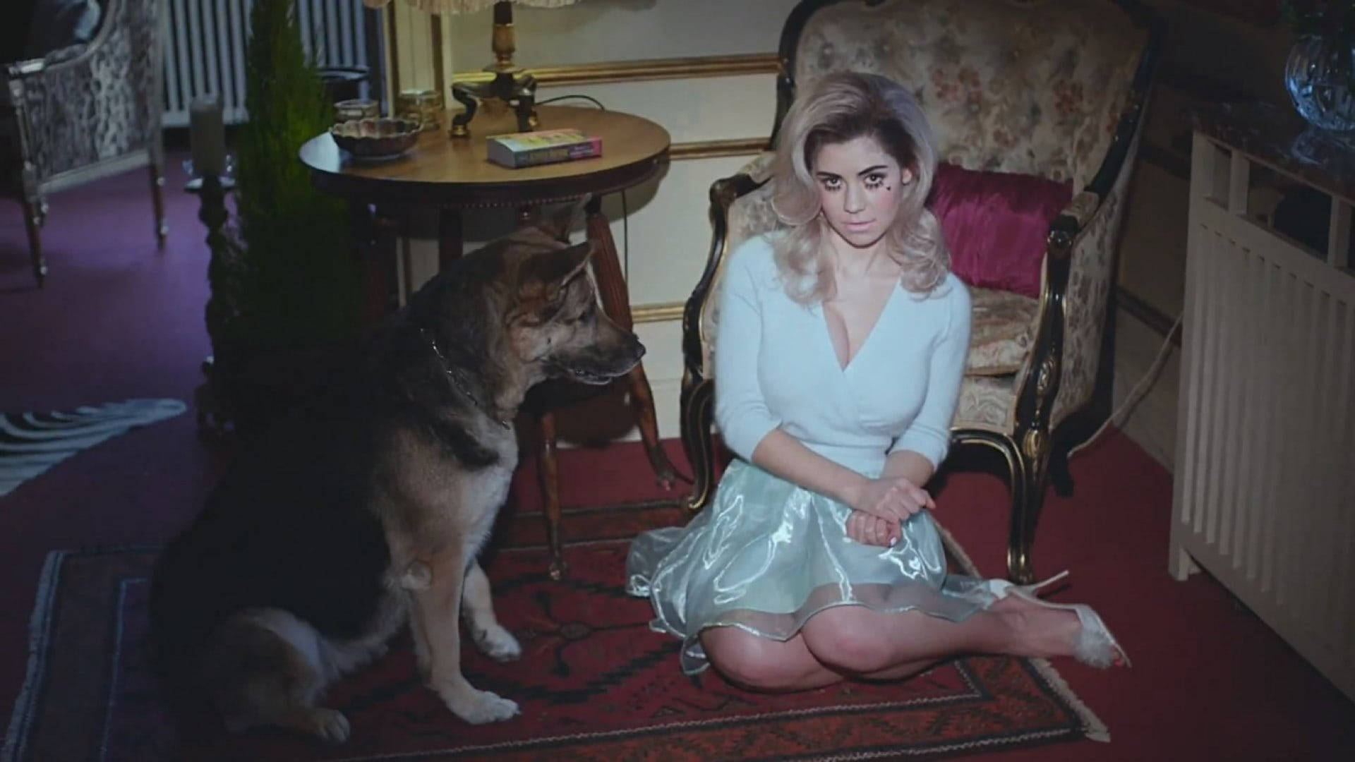 Marina And The Diamonds With Dog Background