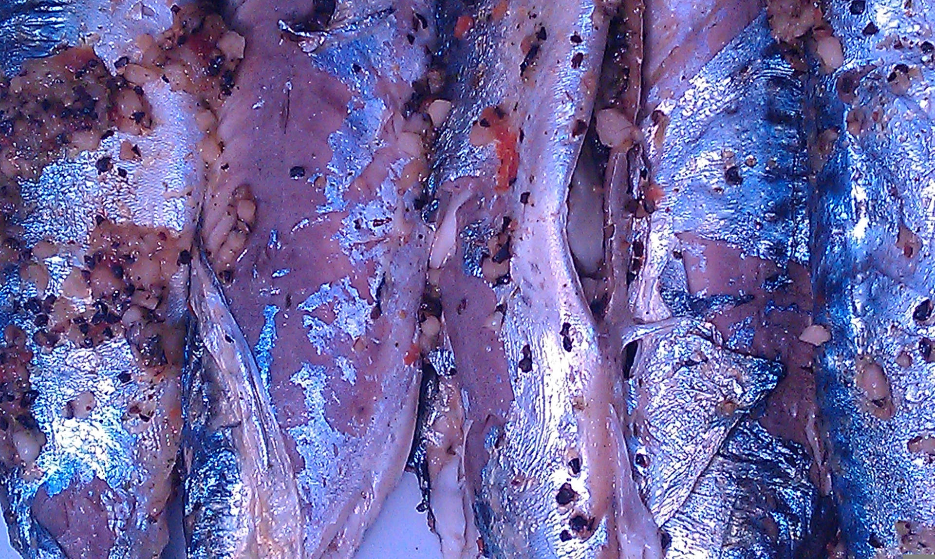 Marinated Mackerel Fishes Wallpaper