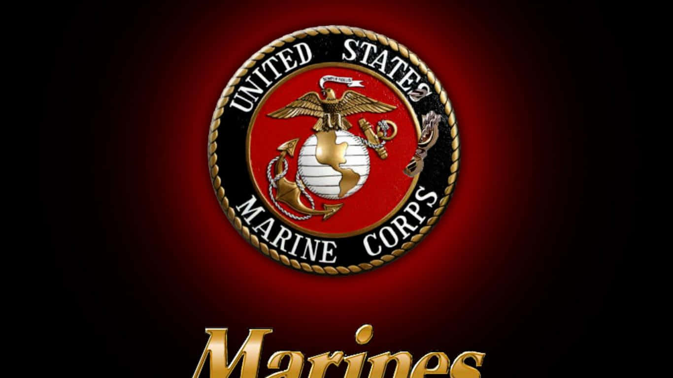 Marines1366 X 768 Hintergrund