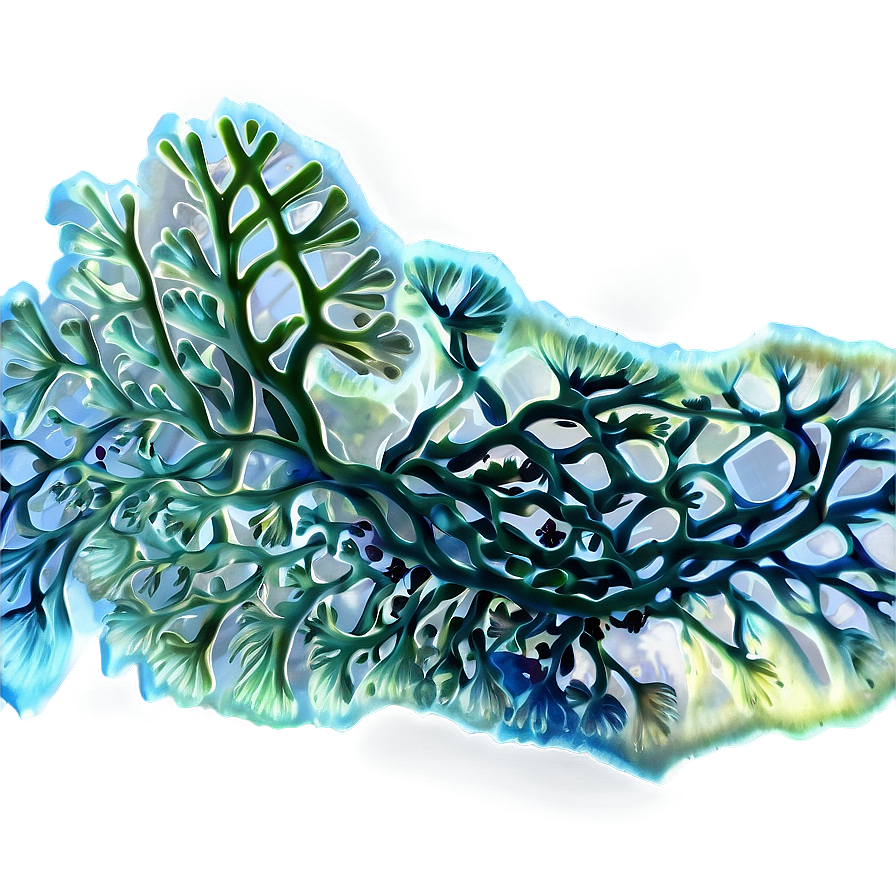 Marine Algae Artwork Png Faf PNG