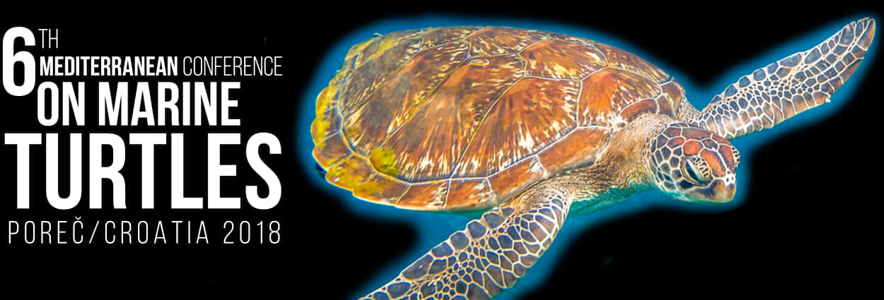 Marine Turtle Conference Banner2018 PNG
