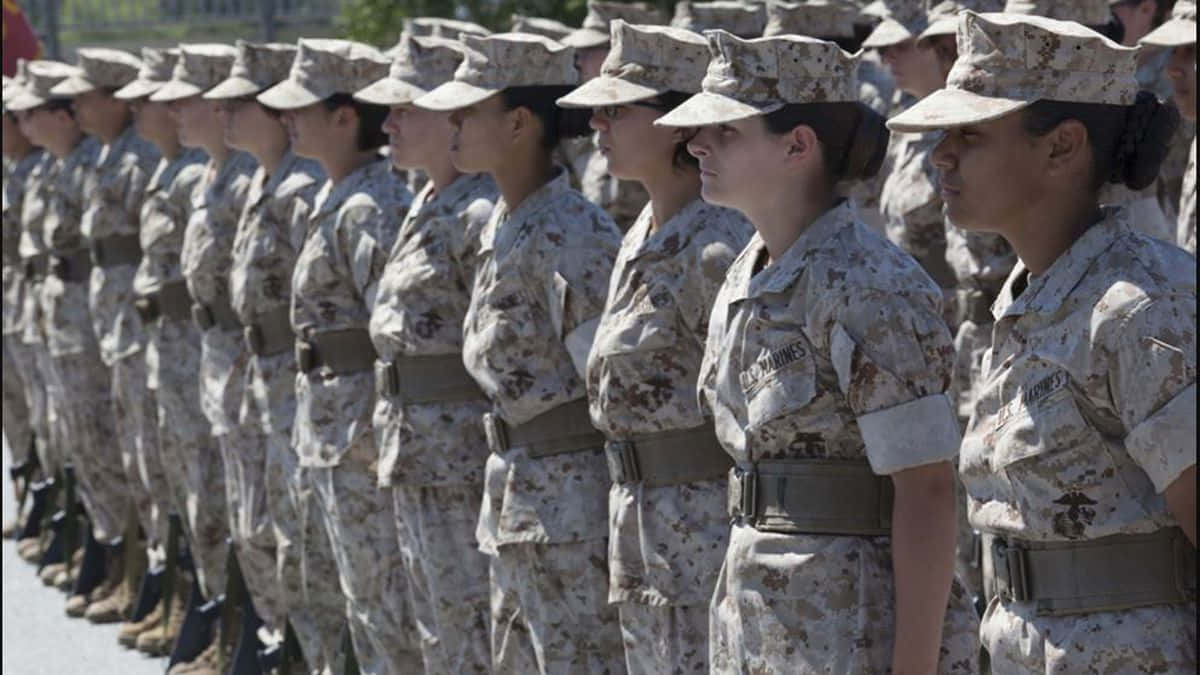 En amerikansk marin står blandt sine brødre i våben, stolt tjener deres land. Wallpaper