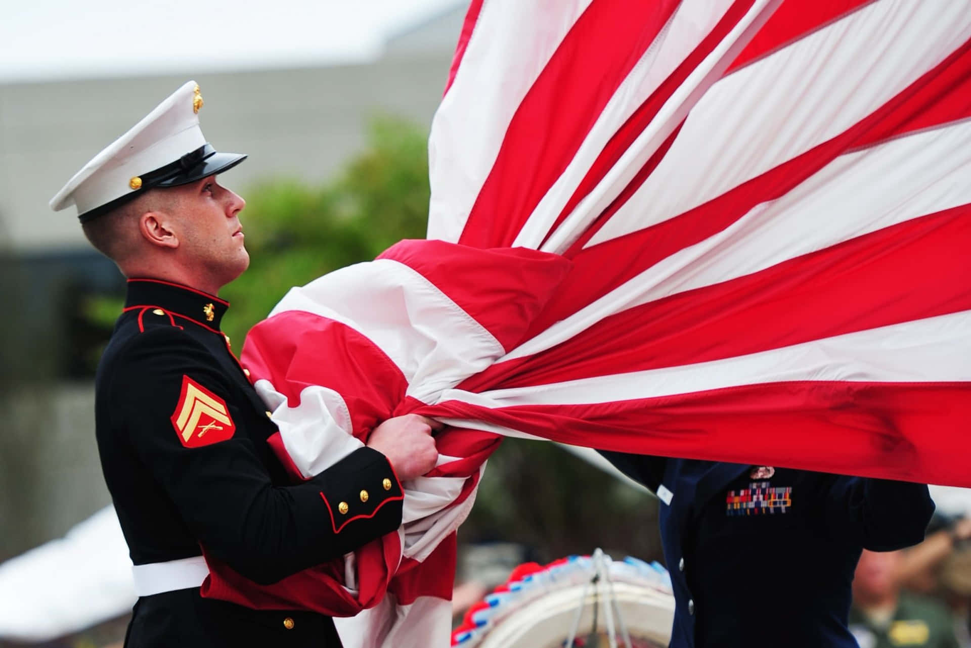 Proud U.S. Marine salutes the American flag in training. Wallpaper