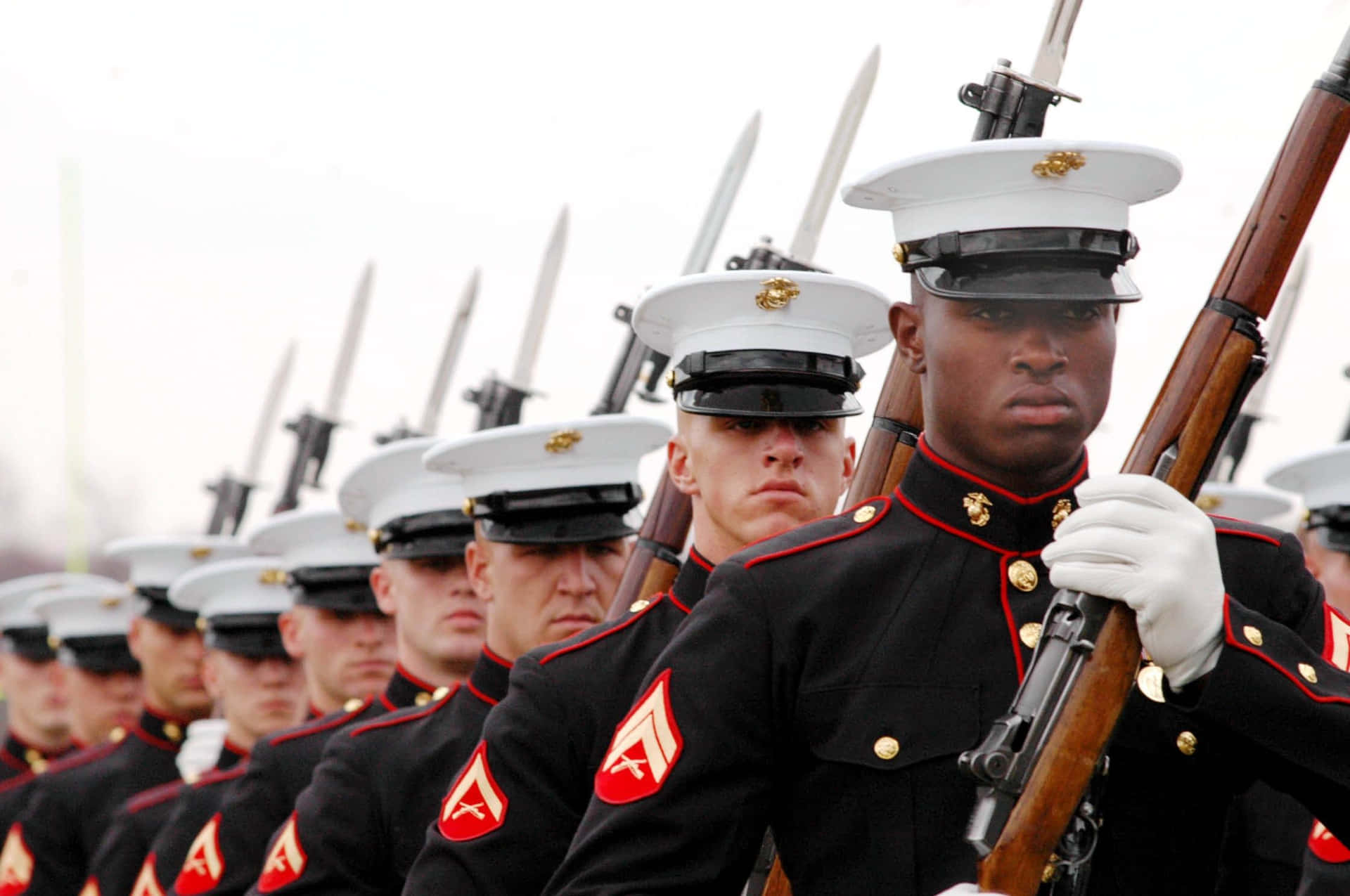 Onorandocoloro Che Servono Nei Marines Degli Stati Uniti Sfondo