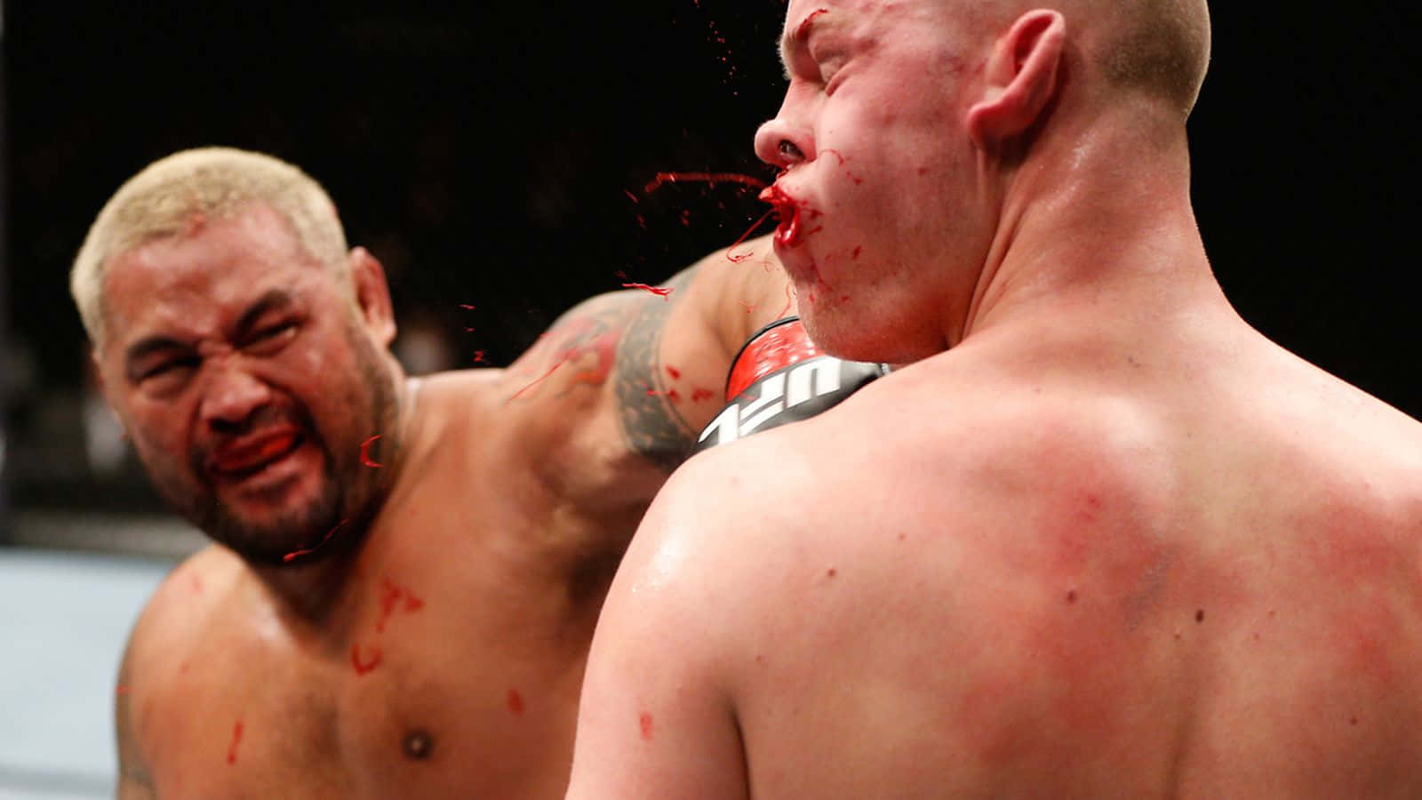 Mark Hunt Bloody Hand Punch Picture