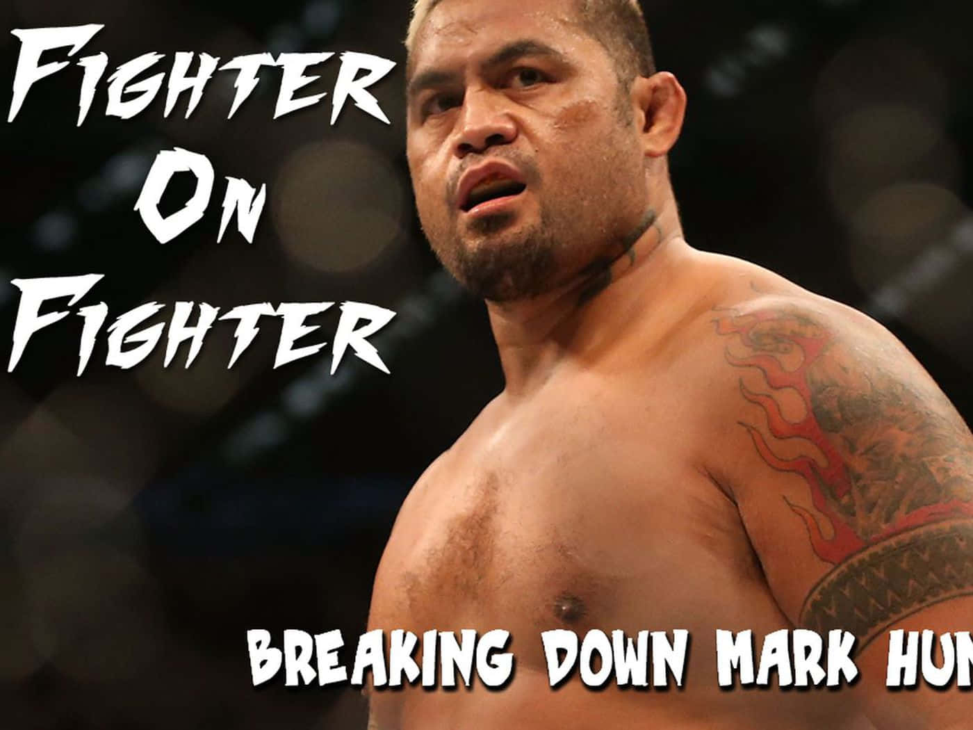 Mark Hunt Fighter On Fight Picture