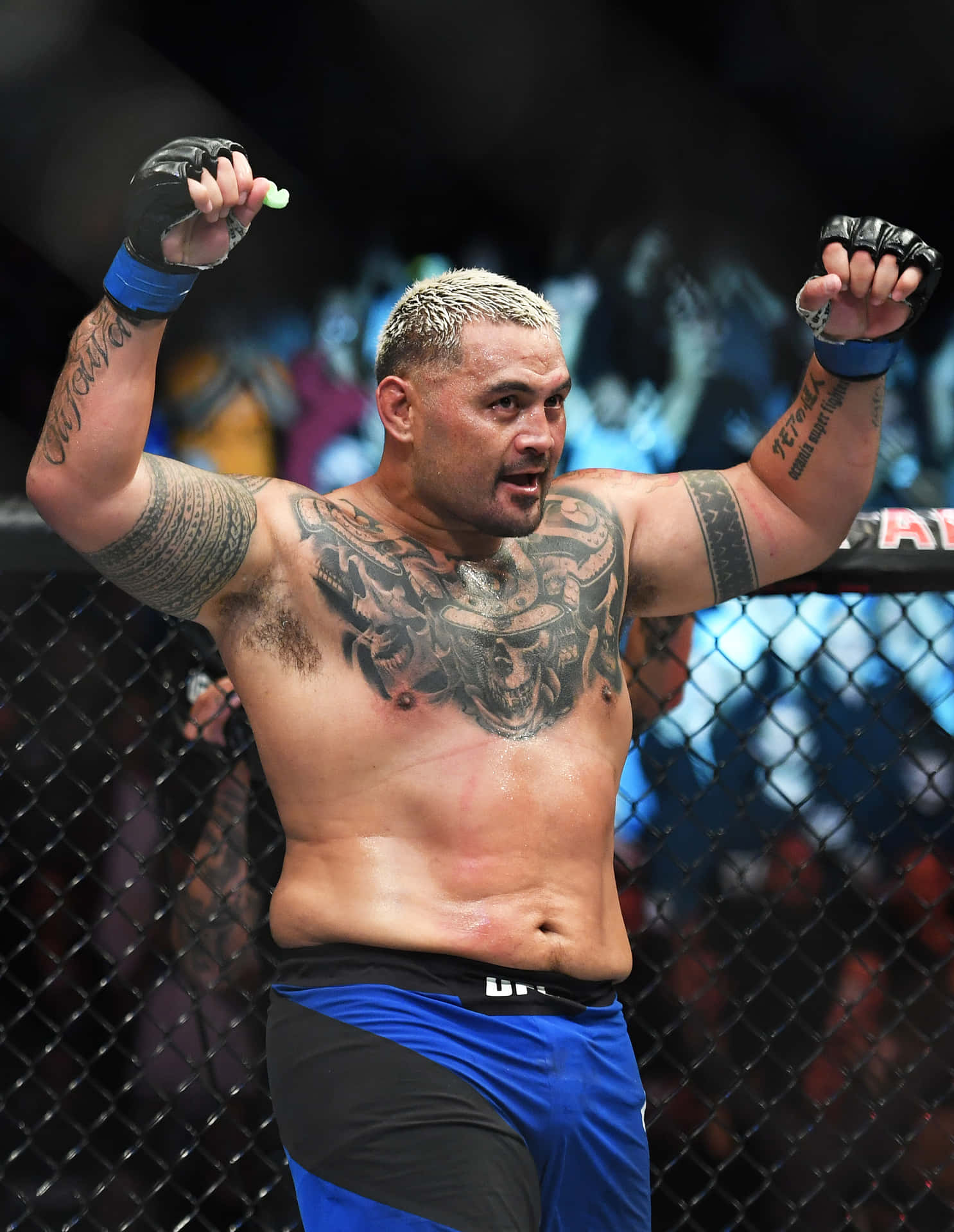 Mark Hunt Fires Back At The UFC - Generation Iron Fitness & Strength Sports  Network