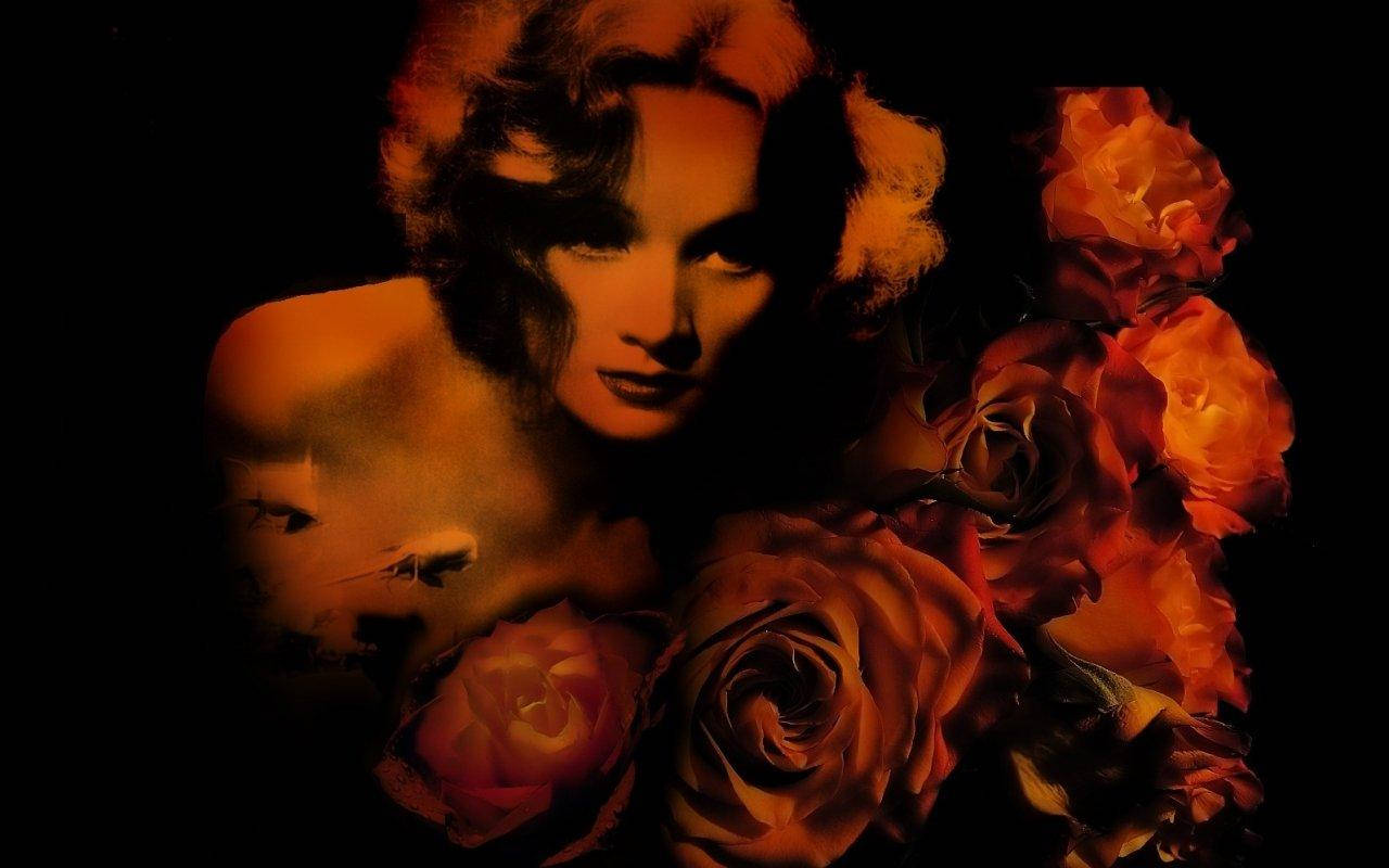 Marlene Dietrich With Orange Roses Wallpaper
