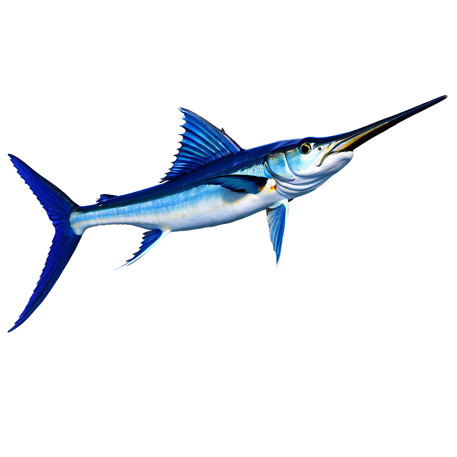 Marlin A PNG