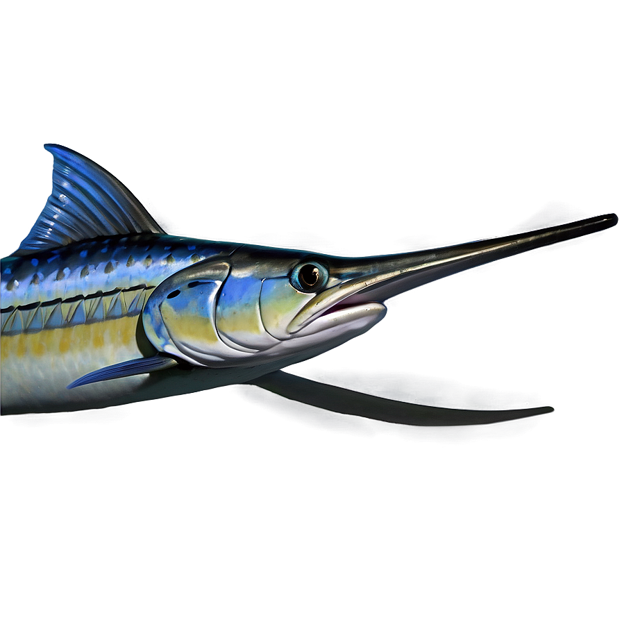 Marlin B PNG