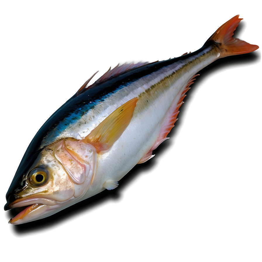 Marlin Fish Steak Png Amk78 PNG