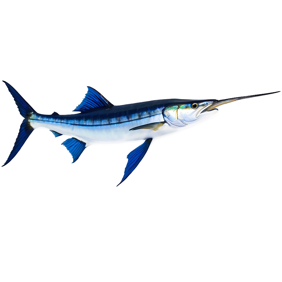 Marlin Fish Tail Png 06242024 PNG