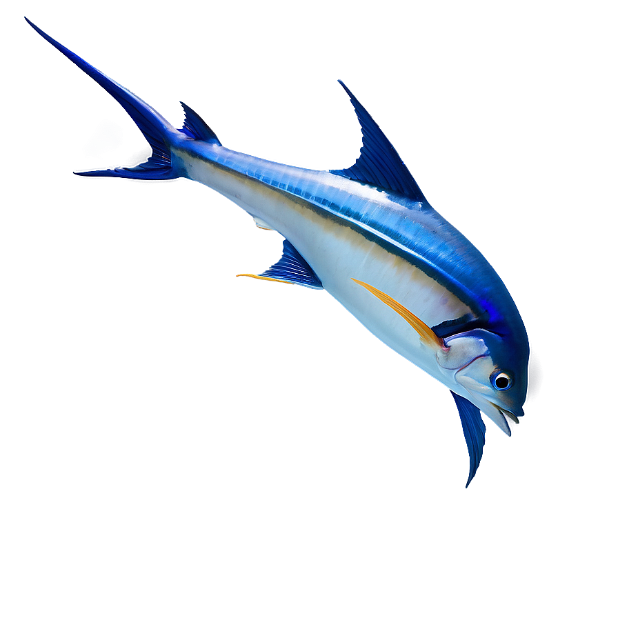 Marlin Fish Tail Png 10 PNG