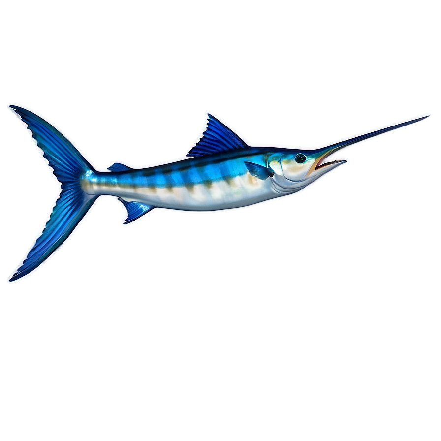 Download Marlin Fish Tail Png 56 | Wallpapers.com