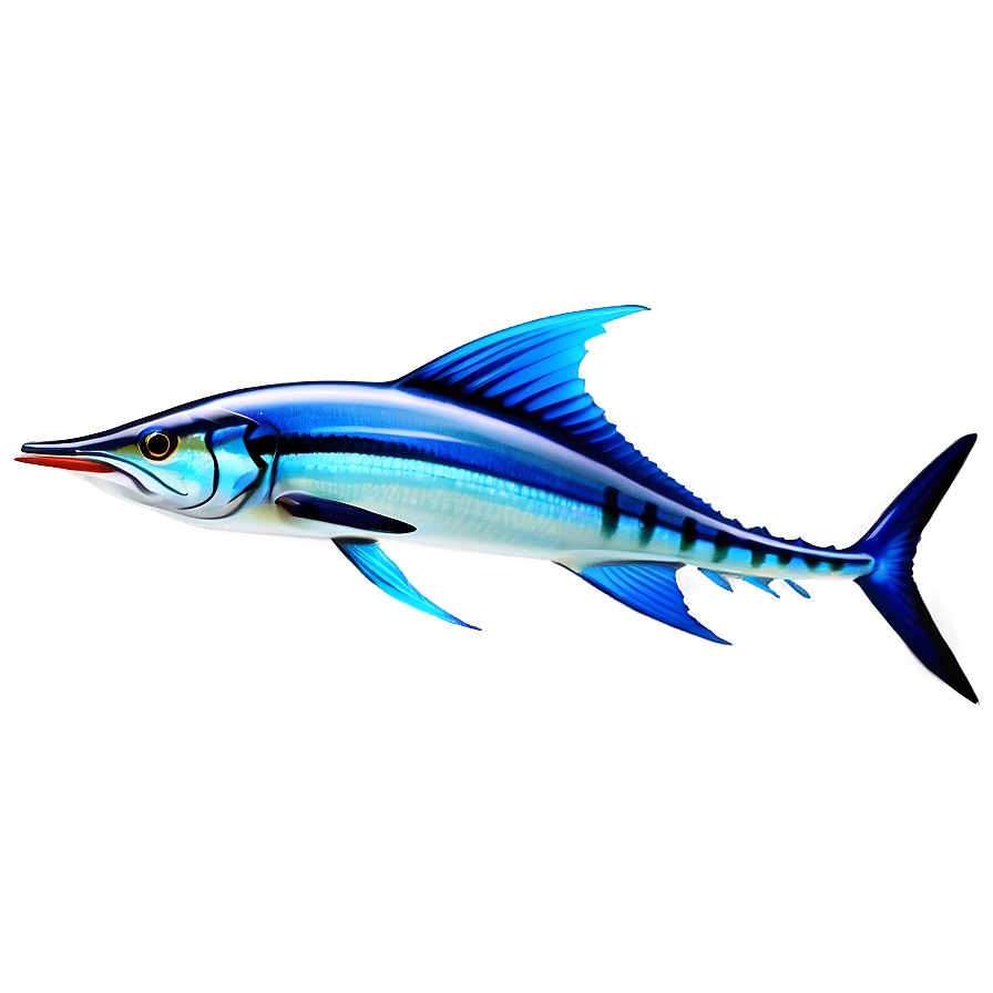 Marlin Fishing Adventure Png 06242024 PNG