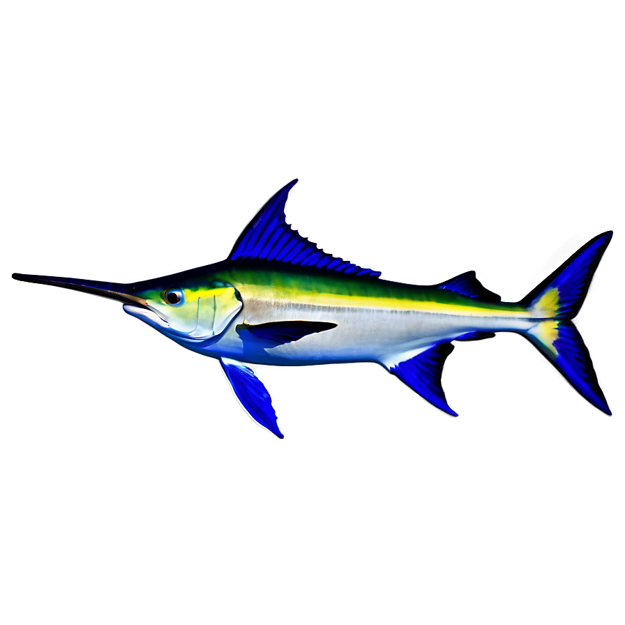 Marlin In Coral Reef Png Krs49 PNG