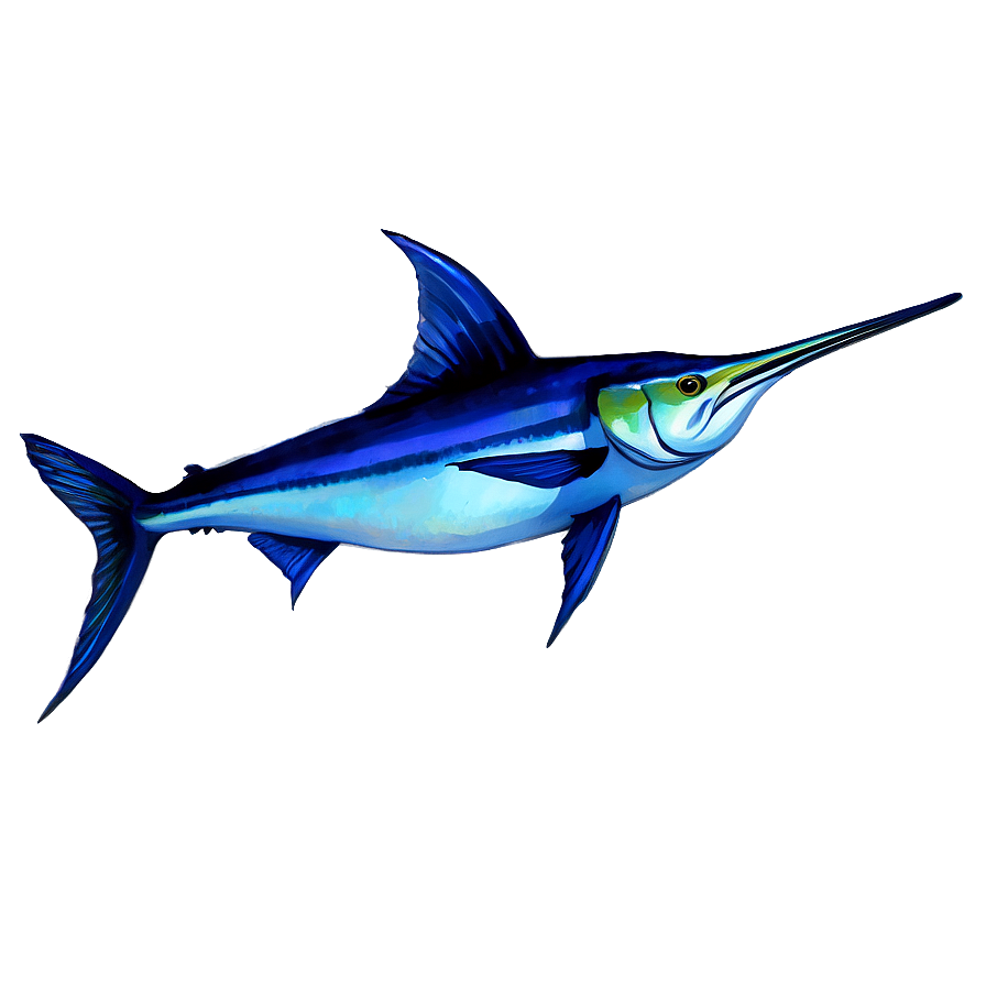 Marlin In Watercolor Png Cfo61 PNG