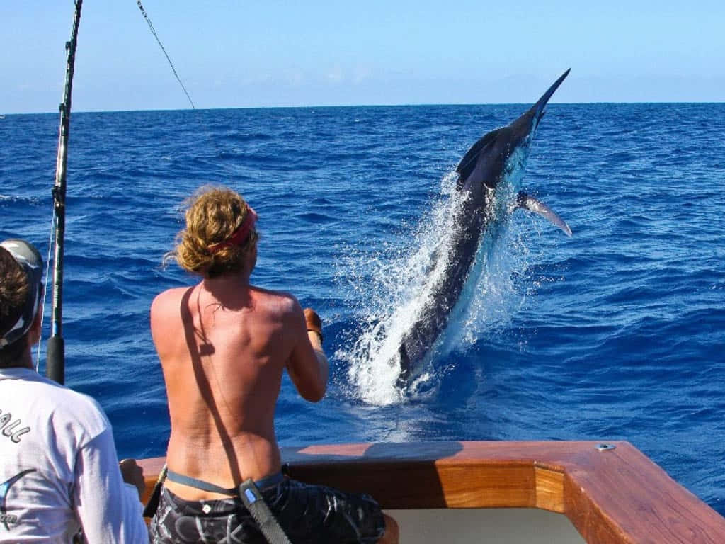 Marlijn Die Uit De Zee Springt.jpg Achtergrond