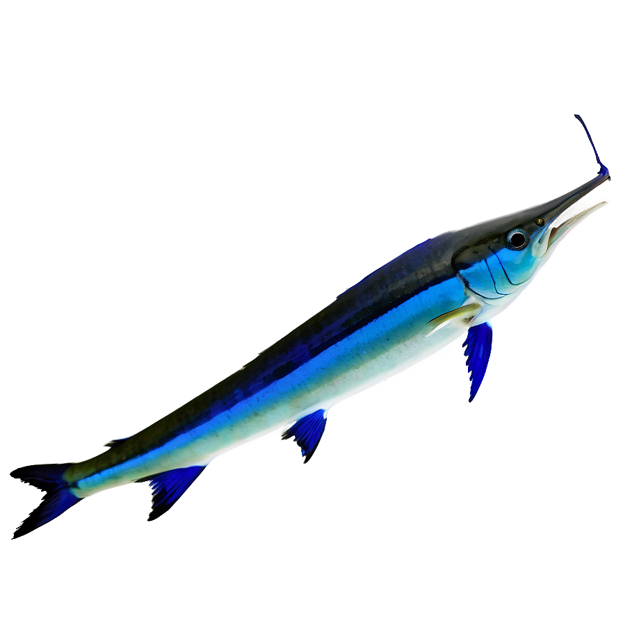 Marlin Silhouette Png 06242024 PNG