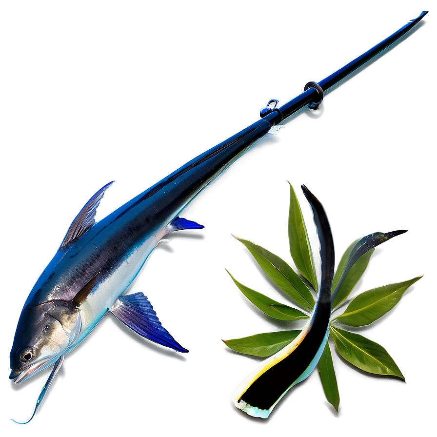 Marlin Spearfishing Png 06242024 PNG