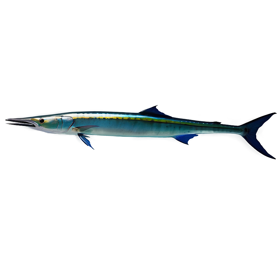 Download Marlin Spearfishing Png Xdj57 | Wallpapers.com