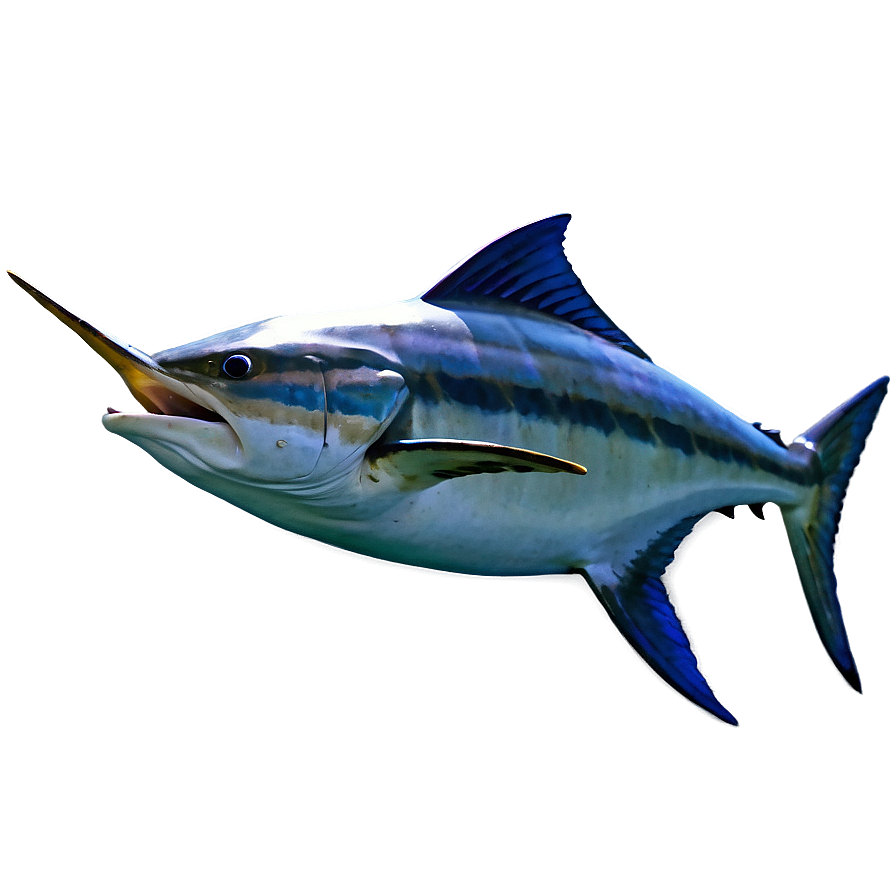 Download Marlin Speeding Png 06242024 | Wallpapers.com