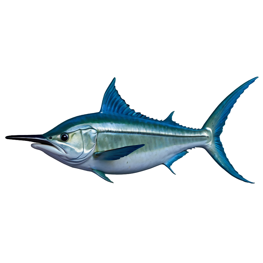 Marlin Speeding Png Lfy PNG