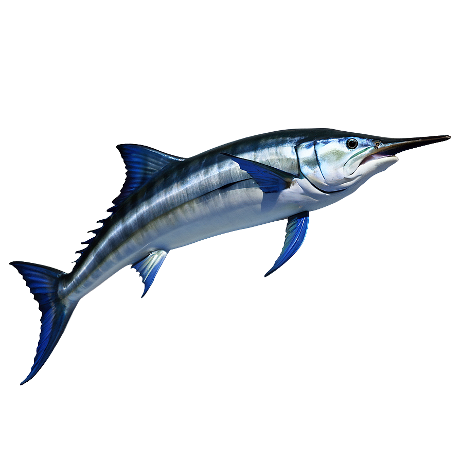 Marlin Speeding Png Uyj PNG