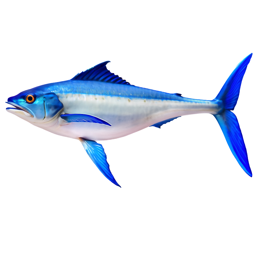 Marlin Underwater Png 06242024 PNG