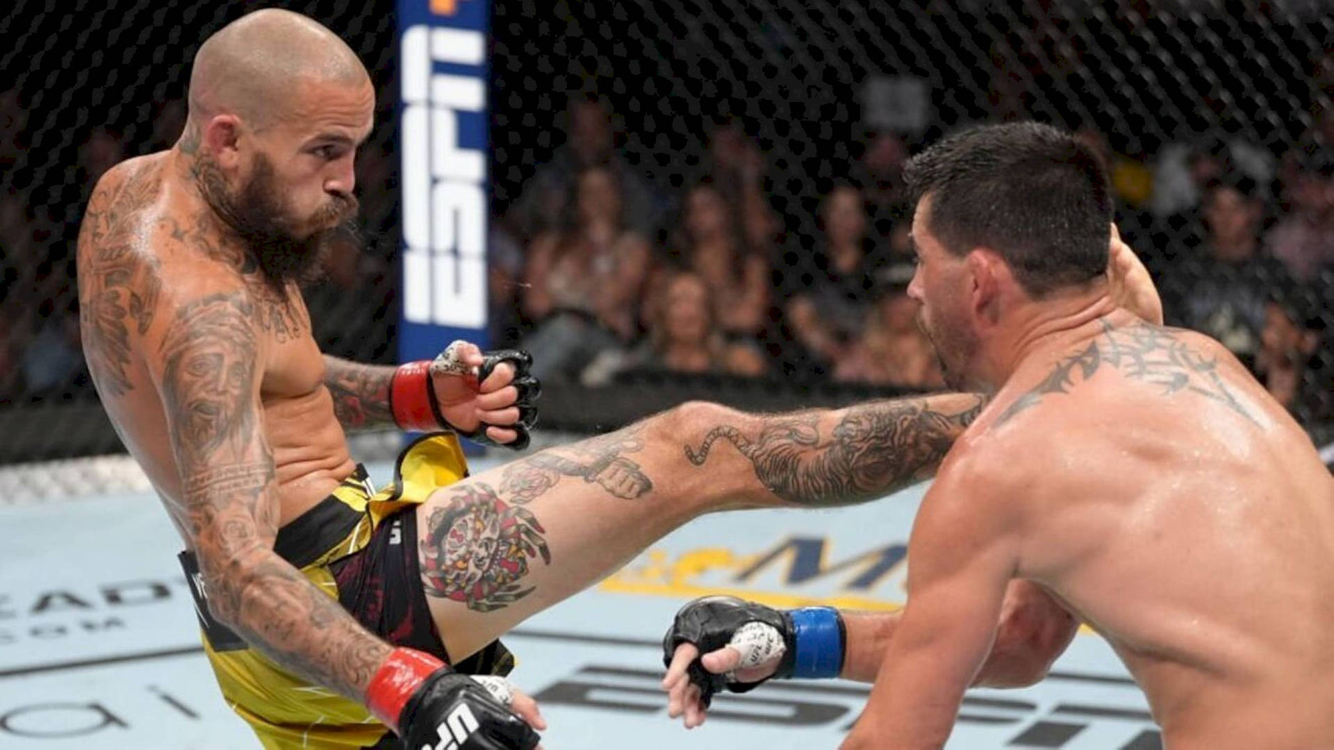 UFC World Is in a Dilemma Because of Chito Veras Questionable Head Tattoo  Reminds Me of the  EssentiallySports