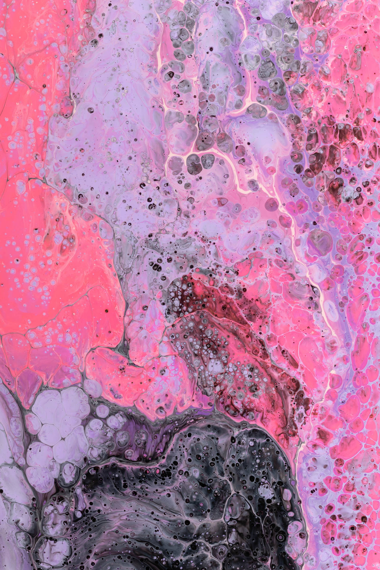Marmor Pink Lilac Og Sort Overflade Wallpaper