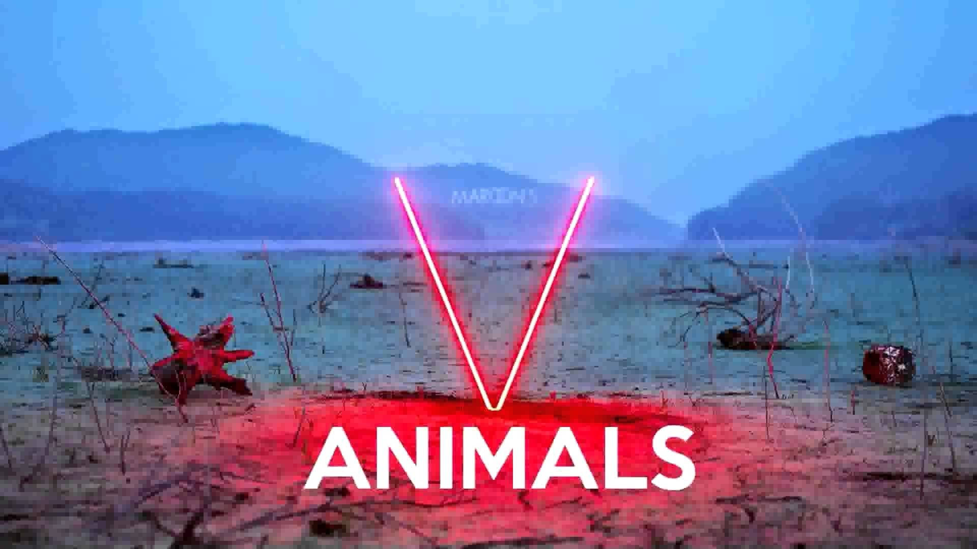 Maroon 5 Animals Cover Word Wallpaper