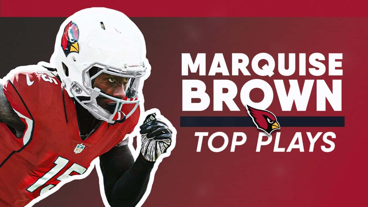 Marquise Brown Top Plays Cardinals Wallpaper