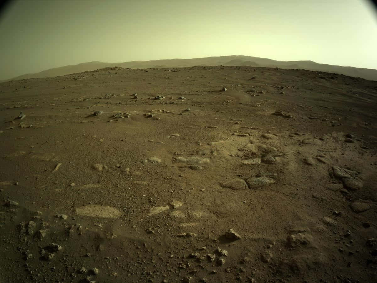 !Opdag den røde planet - Mars!
