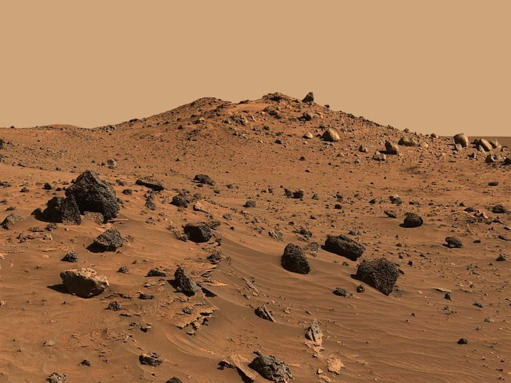 Mars Landscape: A Mesmerizing View Wallpaper