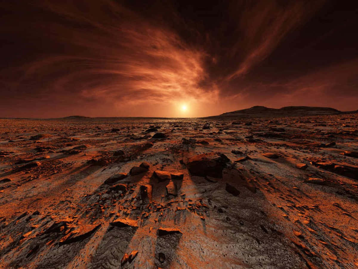 The Red Planet's Mysterious Landscape
