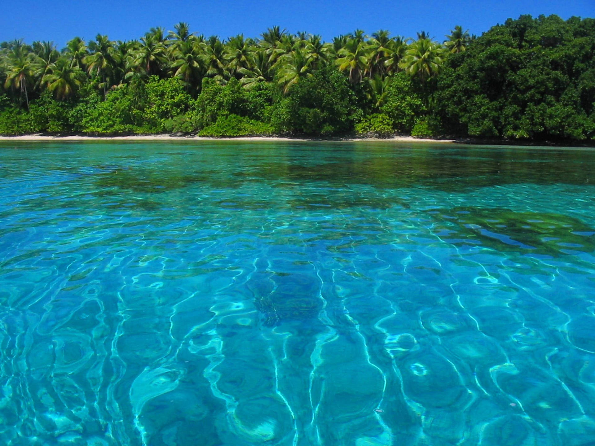 Marshallinselnblau Grünes Meer Wallpaper