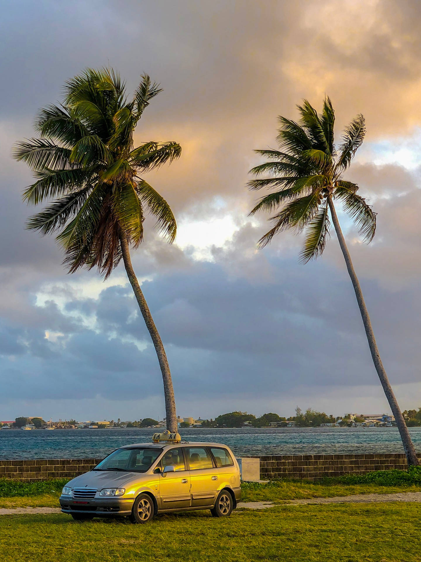 Marshall Islands Car With Palm Trees Wallpaper
