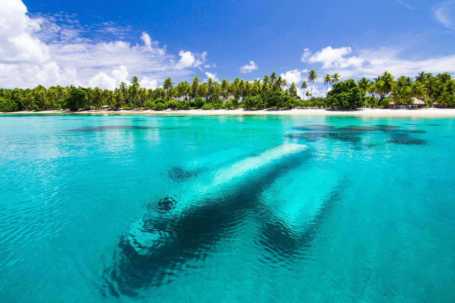 Sunken WWII Airplane in the Clear Waters of the Marshall Islands Wallpaper
