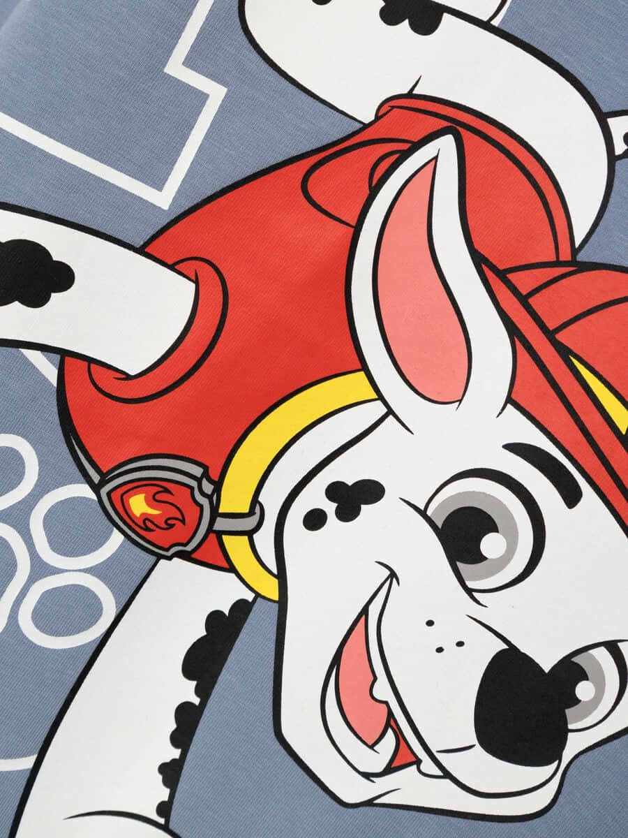 Marshall Paw Patrol Close Up Wallpaper