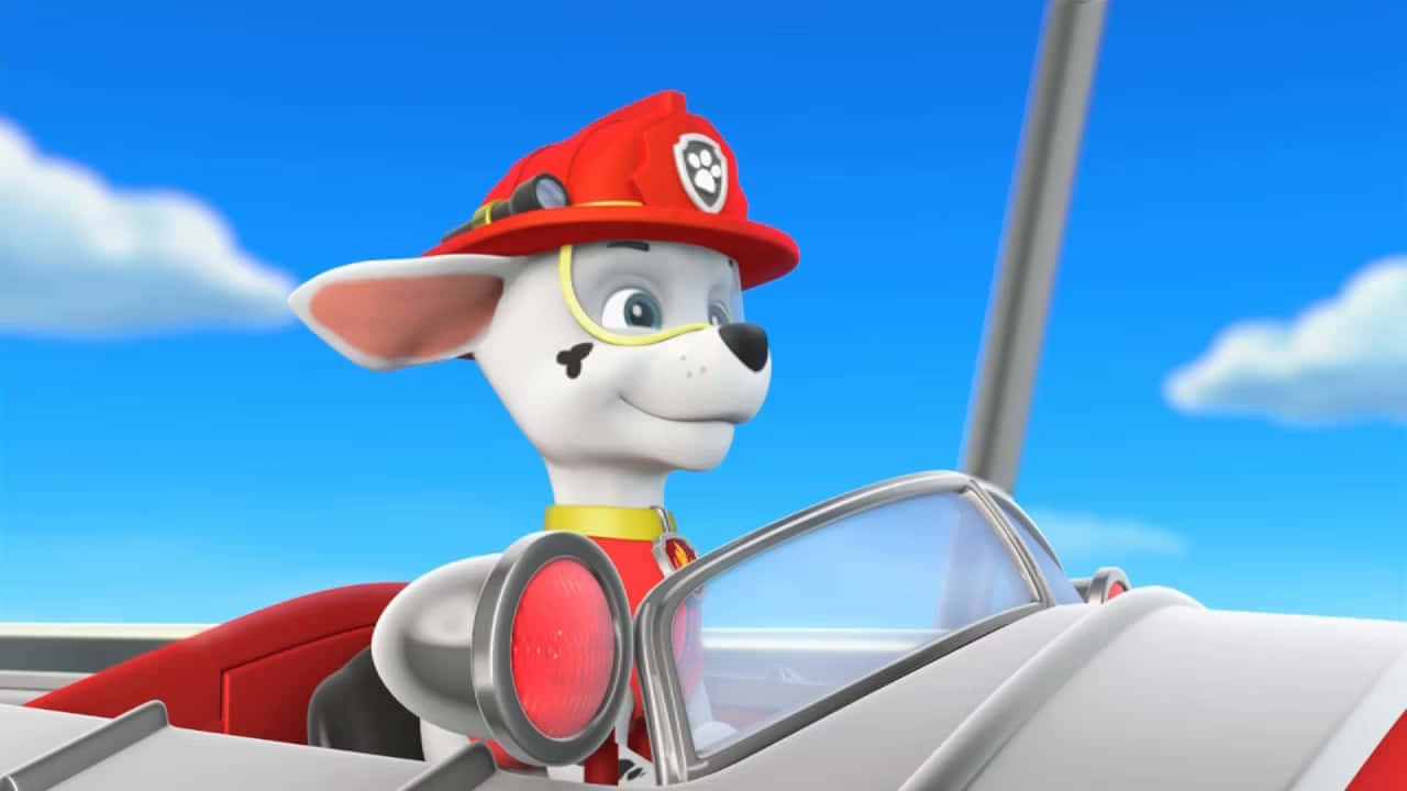 Marshall Paw Patrol Fire Pup Driving Wallpaper