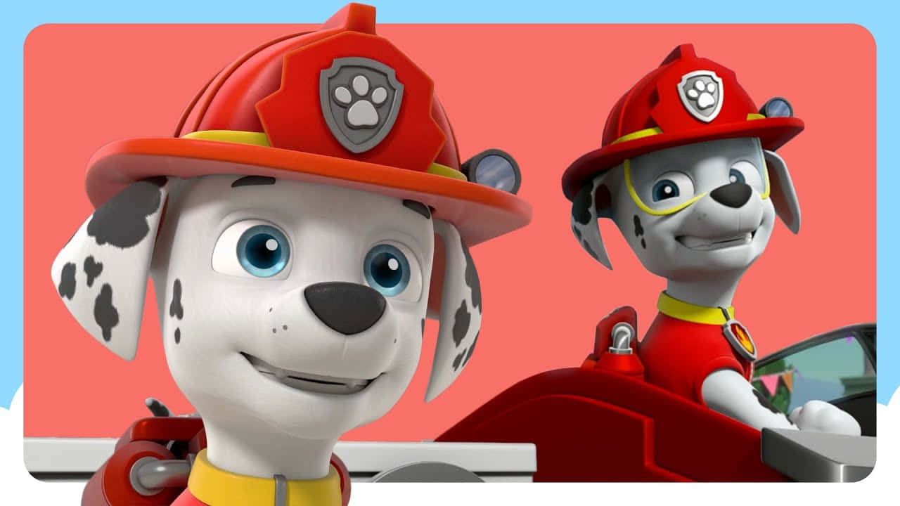 Marshall Paw Patrol Fire Pups Wallpaper