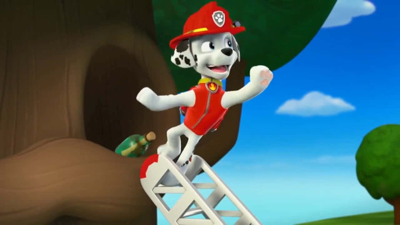 Marshallon Ladder Paw Patrol Wallpaper