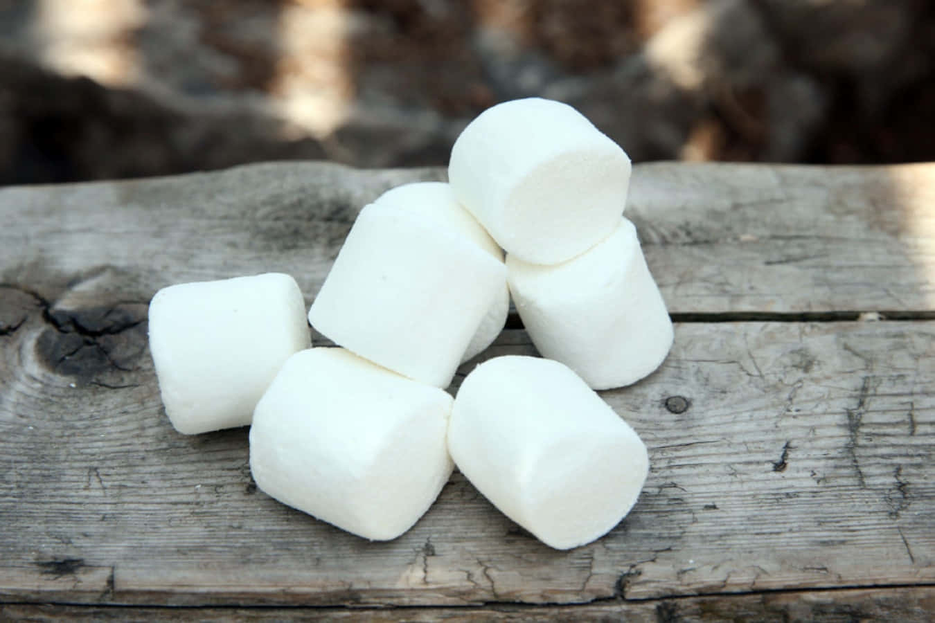 Marshmallow Fun