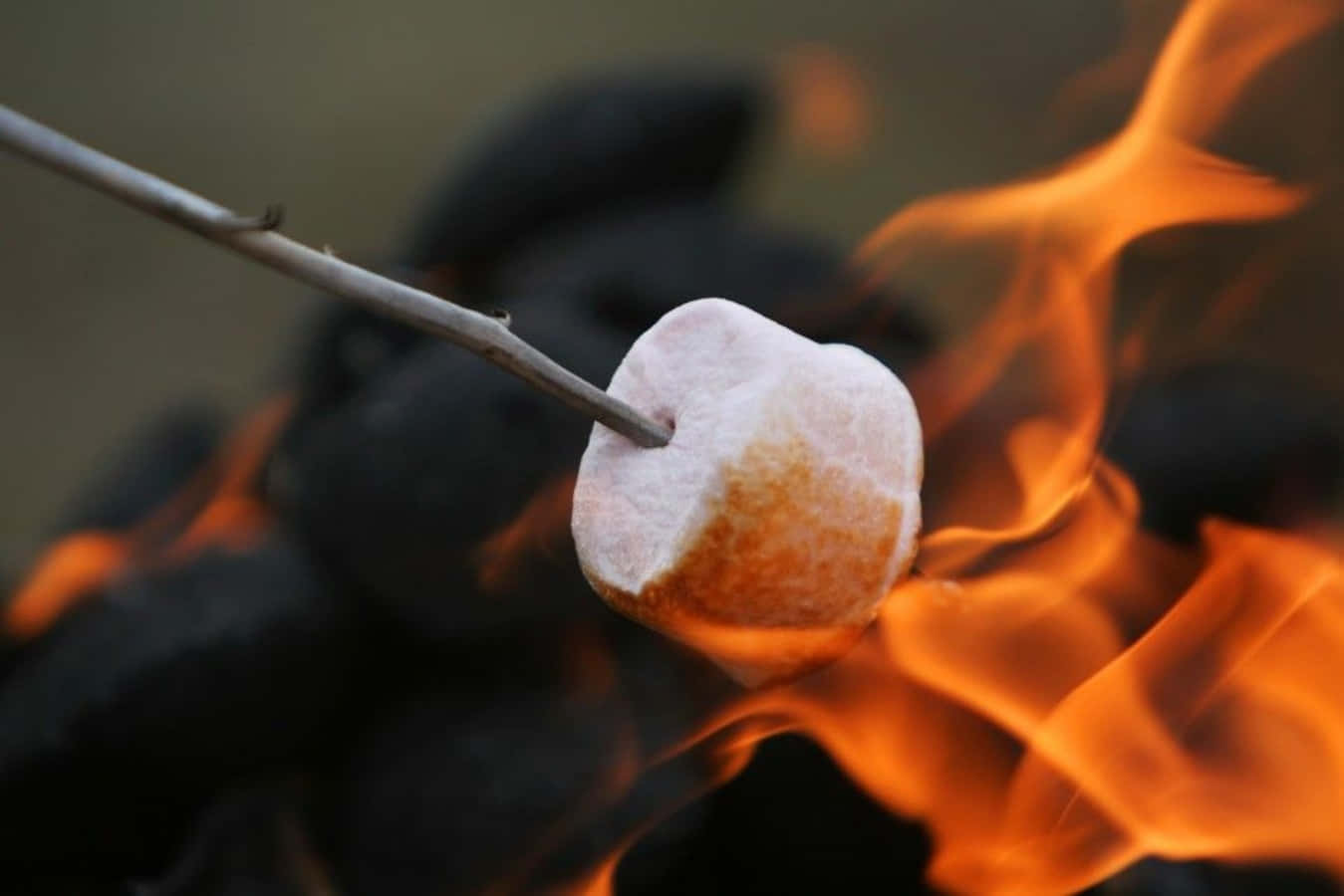 Soft and Sweet Marshmallows