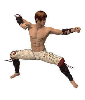 Martial_ Artist_ Fighting_ Stance PNG
