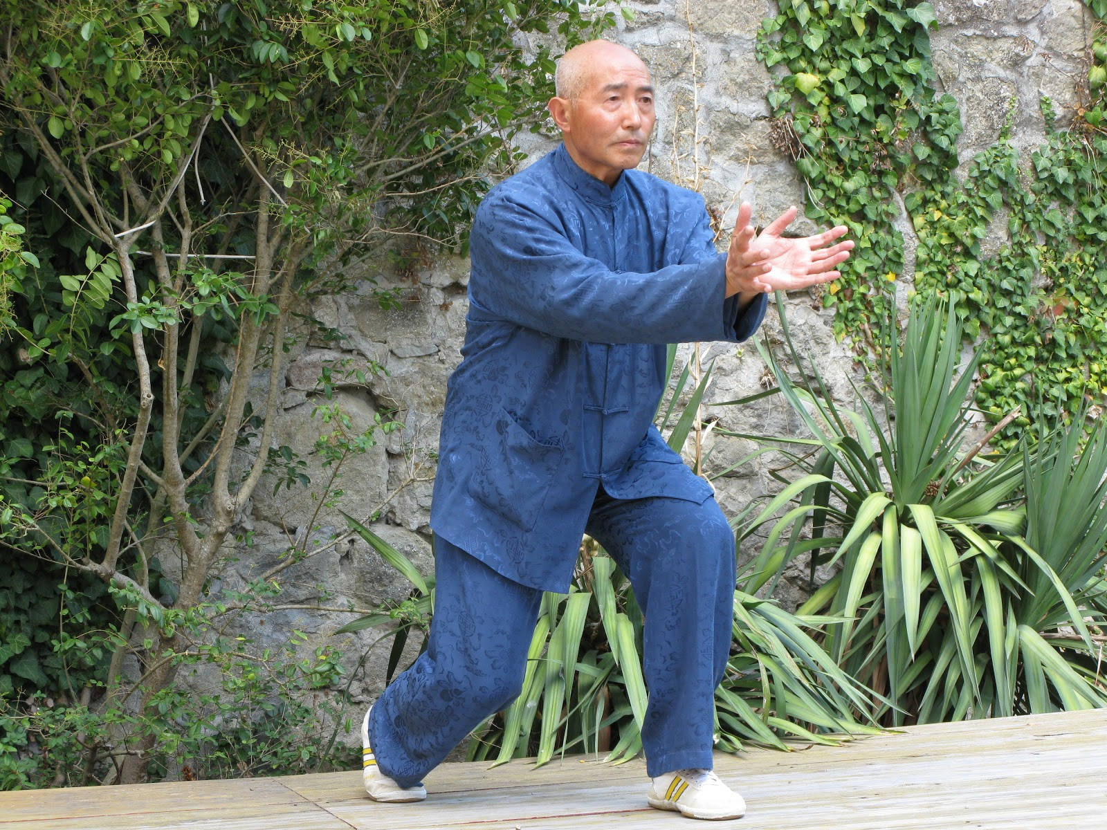 Martial Artist George Xu Practicing Qi Gong Wallpaper