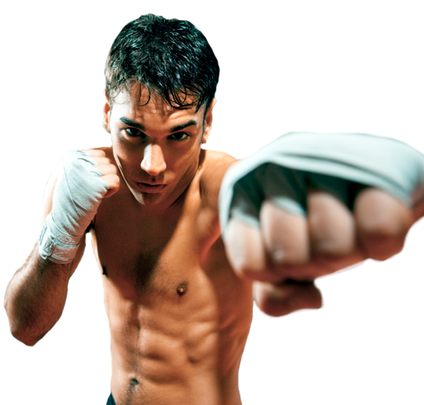 Martial Arts Fighter Ready Pose PNG
