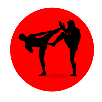 Martial Arts High Kick Silhouette PNG