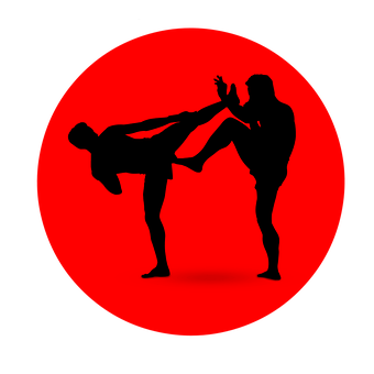 Martial Arts Silhouette Kick PNG
